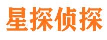 宿城市侦探公司